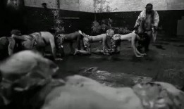 人体蜈蚣在线 观看,揭秘人体奥秘的惊悚之旅